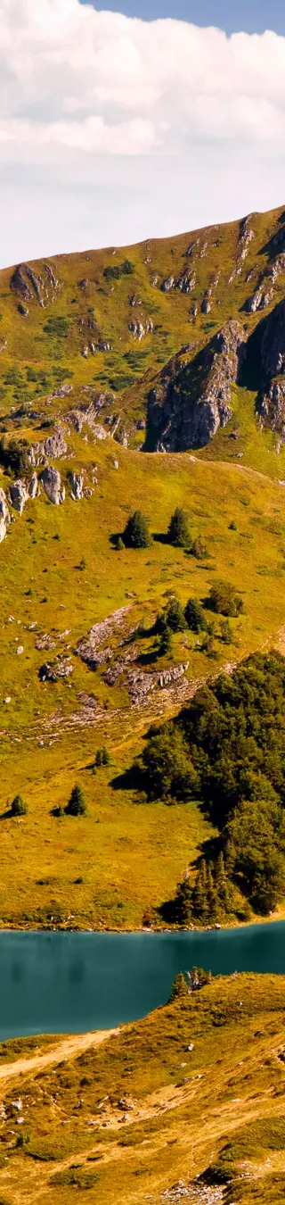 Durch einen Urwald mit 500 Jahre alten Bäumen wandern